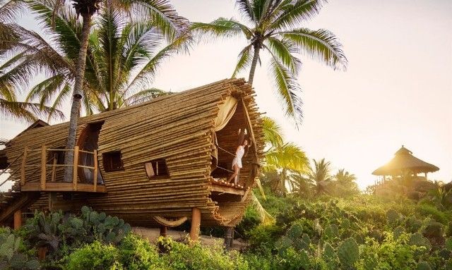 Detail Rumah Unik Dari Bambu Nomer 23