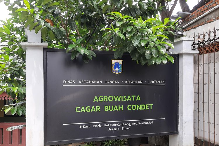 Detail Rumah Vaksin Condet Nomer 29