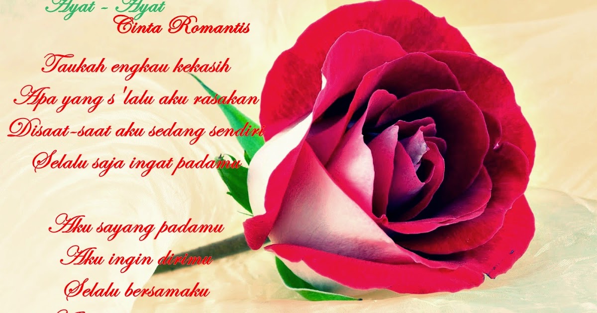 Detail Wallpaper Kata Kata Romantis Nomer 20