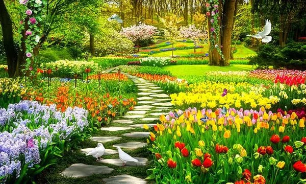 Detail Wallpaper Kebun Bunga Nomer 32