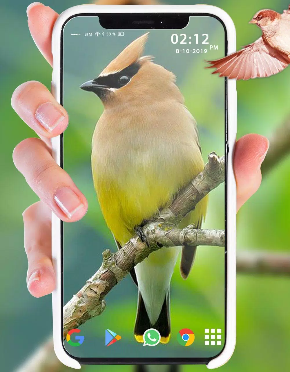 Detail Wallpaper Kenari 3d Nomer 27