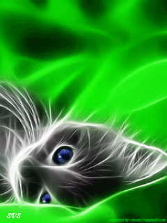 Detail Wallpaper Keren 3d Bergerak Untuk Android Gif Koleksi Nomer 12
