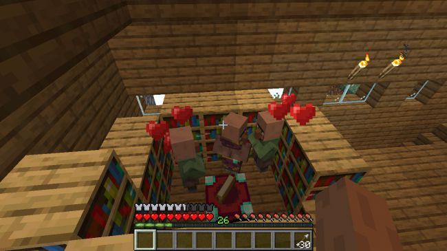 Detail Rumah Villager Di Minecraft Nomer 25