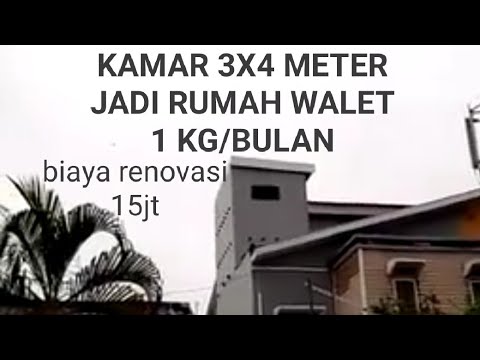 Detail Rumah Walet Di Atas Rumah Tinggal Nomer 2