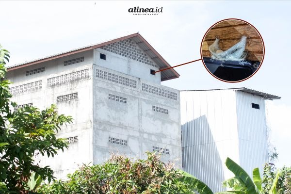 Detail Rumah Walet Di Atas Rumah Tinggal Nomer 14