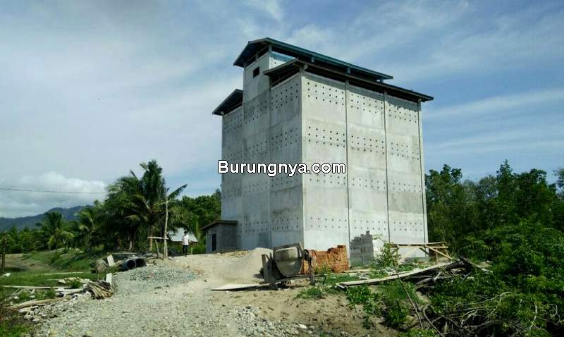 Detail Rumah Walet Di Atas Rumah Tinggal Nomer 17