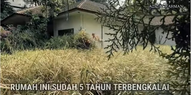 Detail Rumah Yang Terbengkalai Nomer 34