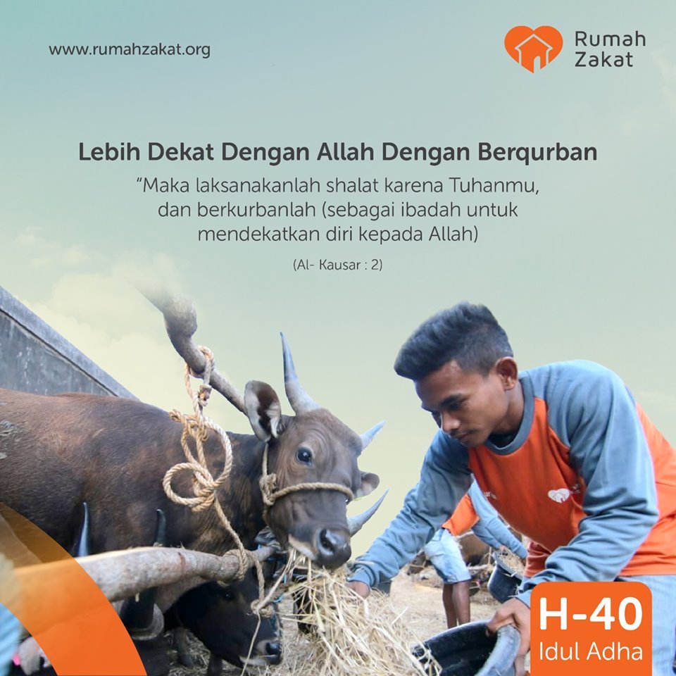 Detail Rumah Zakat Qurban Nomer 21