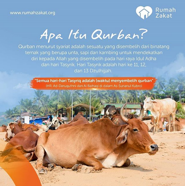 Detail Rumah Zakat Qurban Nomer 27