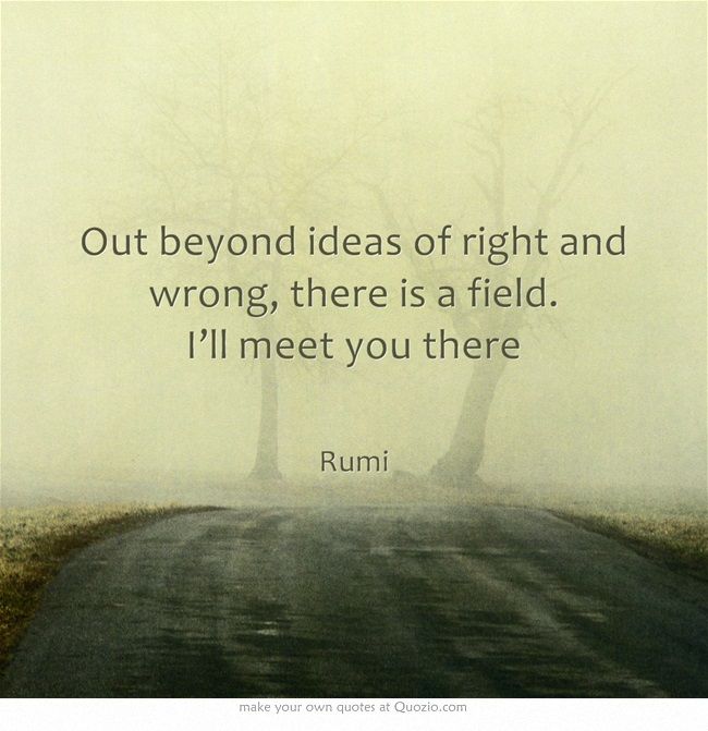 Rumi Quotes Beyond Right And Wrong - KibrisPDR