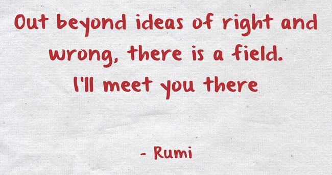 Detail Rumi Quotes Beyond Right And Wrong Nomer 15