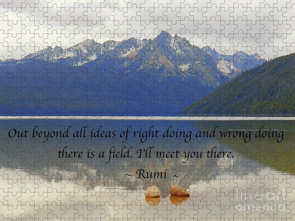 Detail Rumi Quotes Beyond Right And Wrong Nomer 20