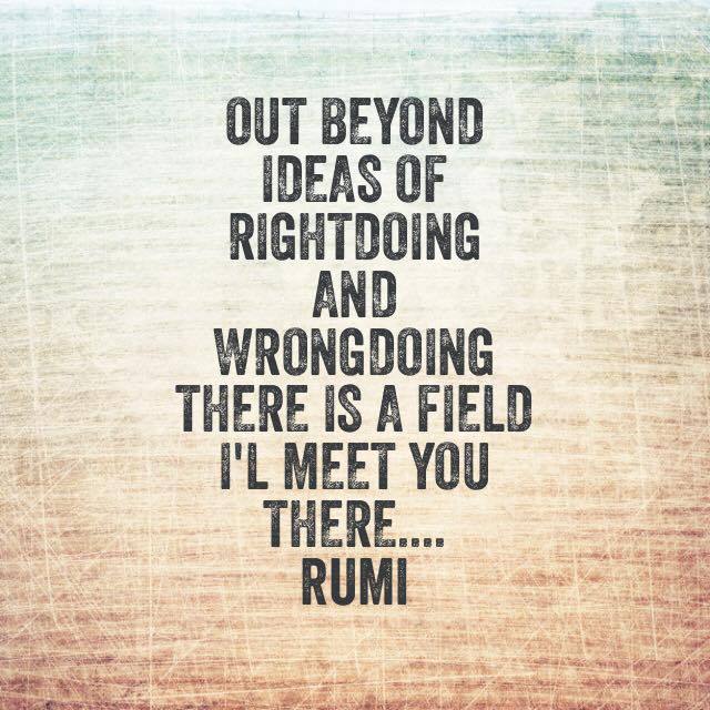 Detail Rumi Quotes Beyond Right And Wrong Nomer 26