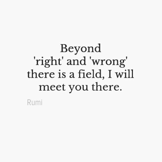 Detail Rumi Quotes Beyond Right And Wrong Nomer 5