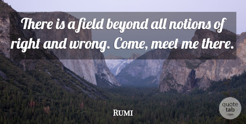 Detail Rumi Quotes Beyond Right And Wrong Nomer 37