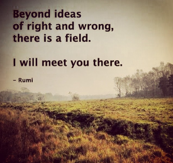 Detail Rumi Quotes Beyond Right And Wrong Nomer 7