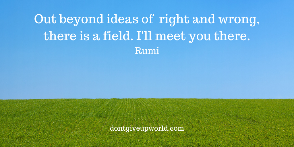 Detail Rumi Quotes Beyond Right And Wrong Nomer 9