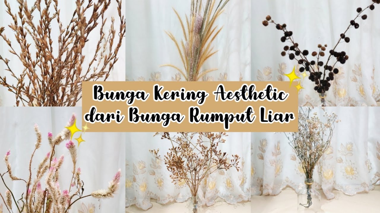 Detail Rumput Aesthetic Nomer 56