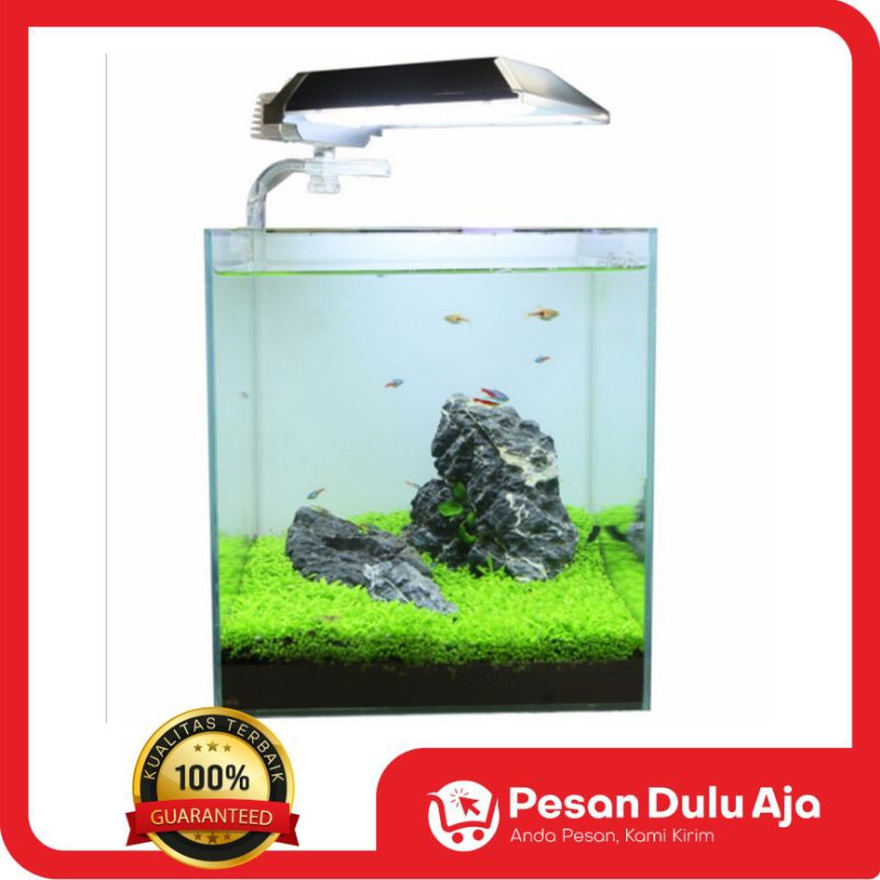 Detail Rumput Akuarium Air Tawar Nomer 41