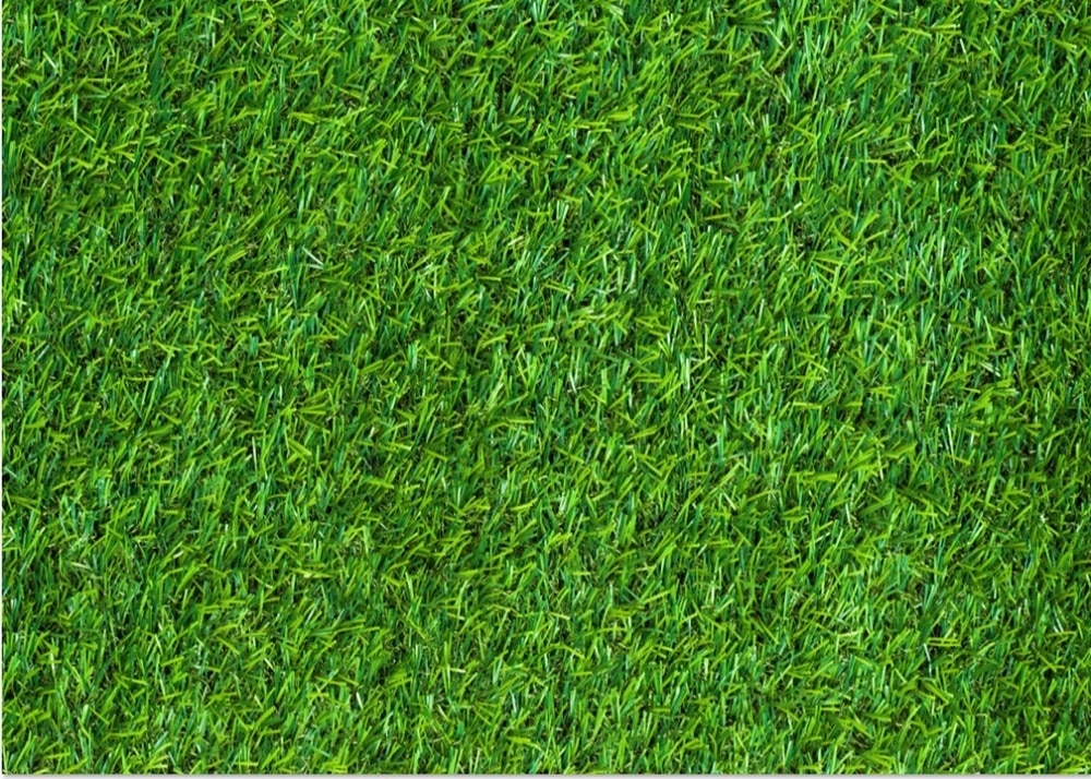 Detail Rumput Background Nomer 17