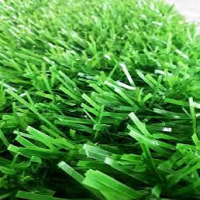 Detail Rumput Estetik Nomer 33