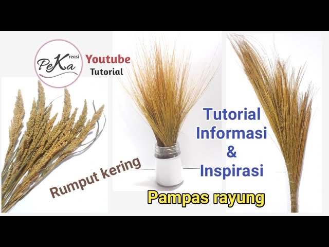 Detail Rumput Kering Untuk Hiasan Nomer 10