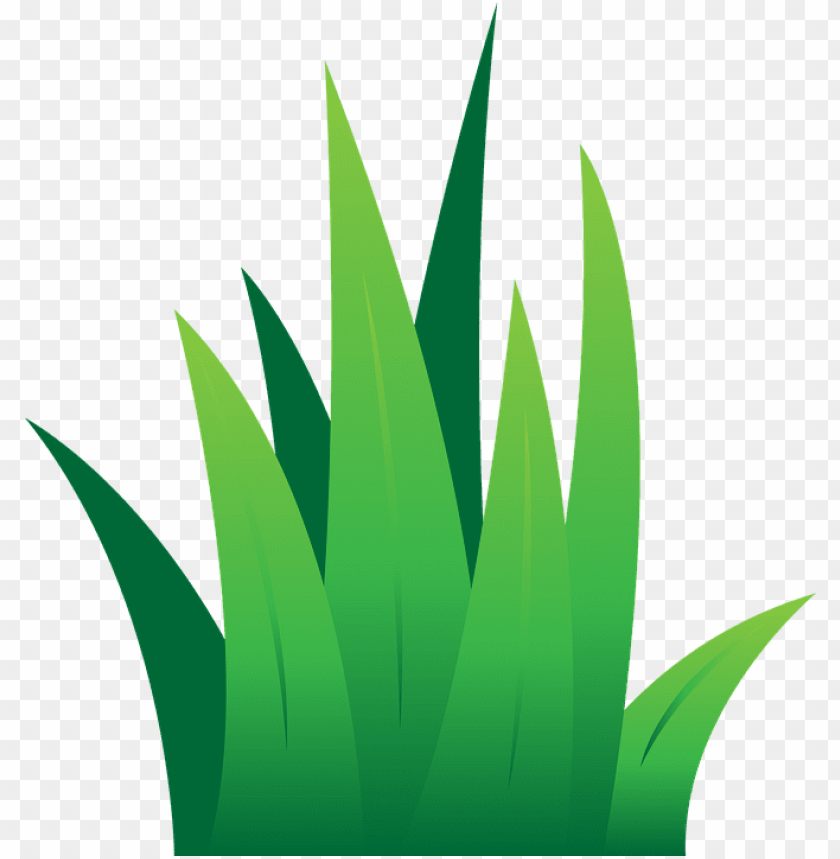 Detail Rumput Png Vector Nomer 2