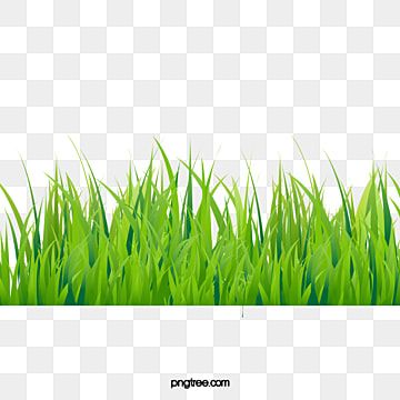 Detail Rumput Png Vector Nomer 12