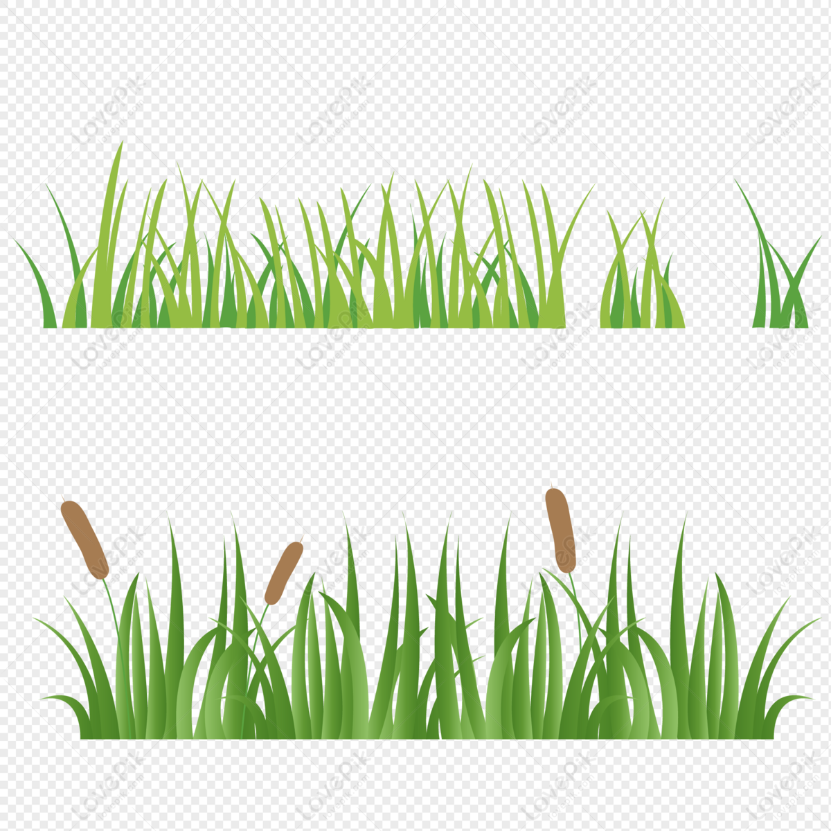 Detail Rumput Png Vector Nomer 52