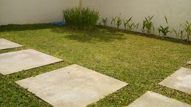 Detail Rumput Taman Rumah Nomer 22