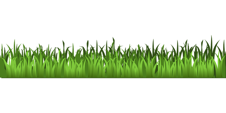 Rumput Vector Png - KibrisPDR