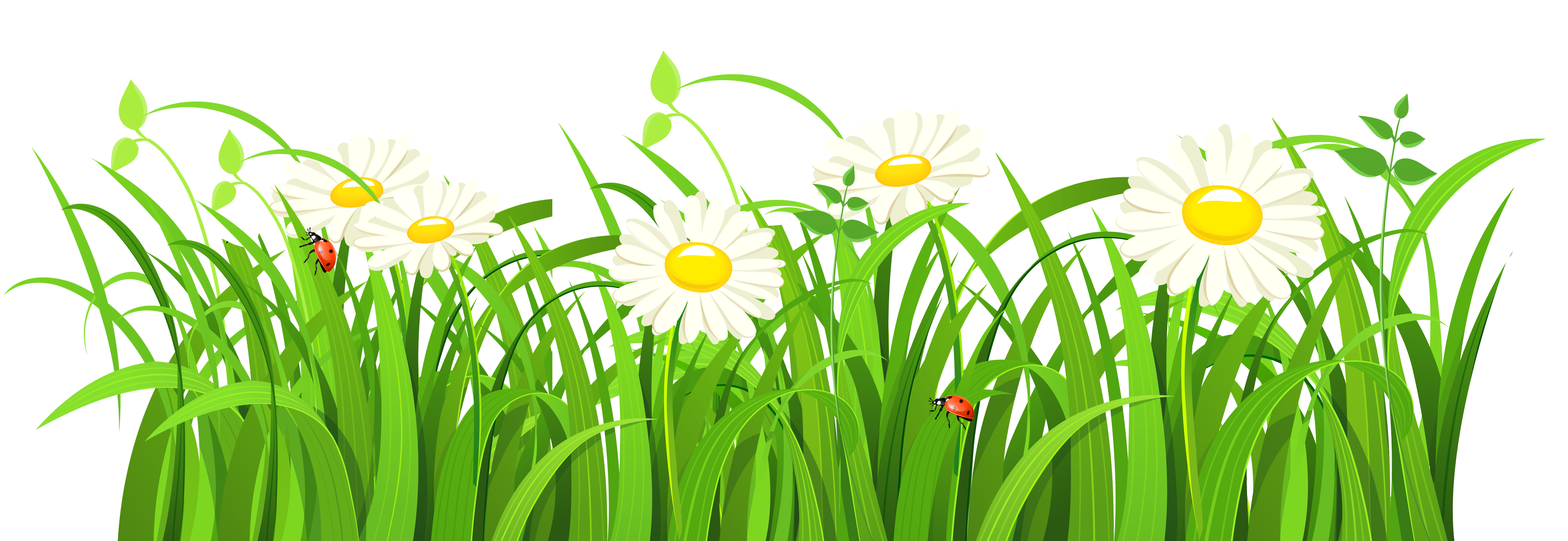 Detail Rumput Vector Png Nomer 3