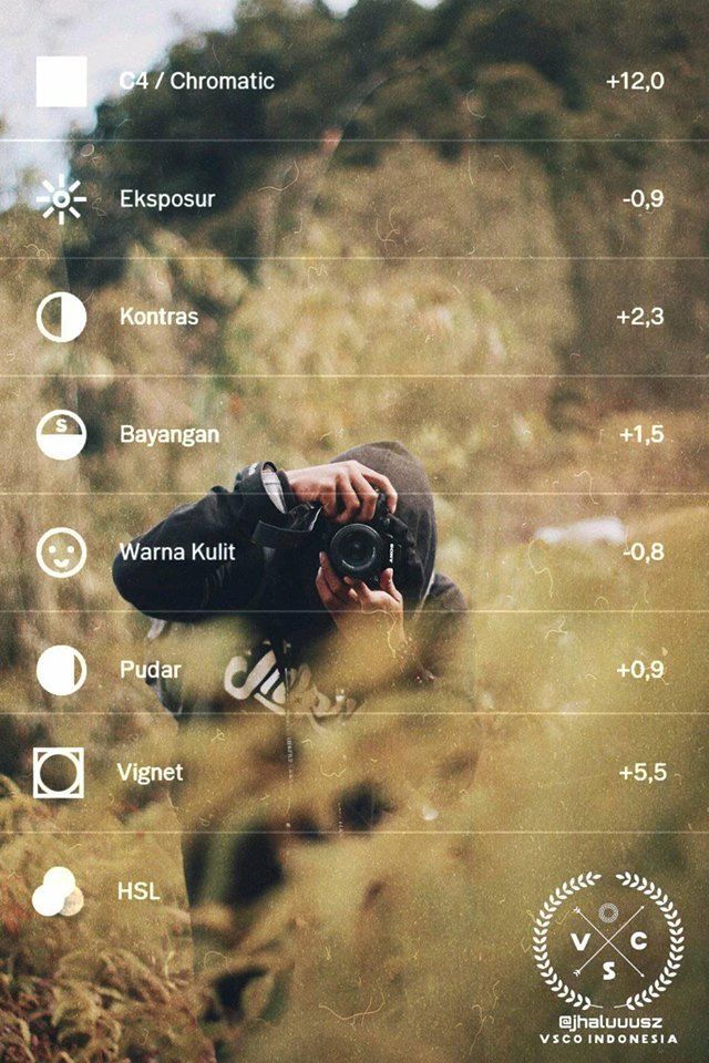Detail Rumus Edit Foto Vsco Nomer 12