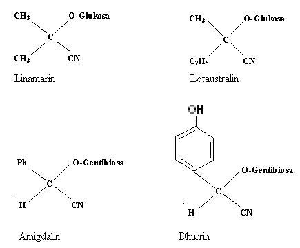 Detail Rumus Kimia Sianida Nomer 44