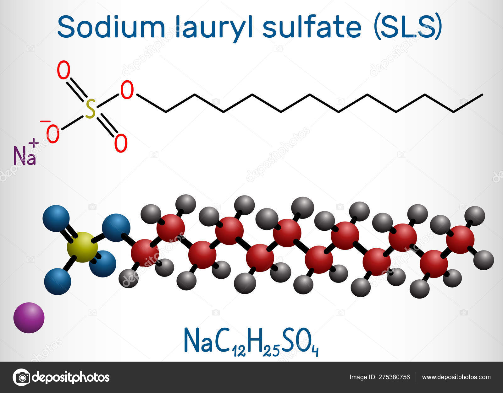 Detail Rumus Kimia Sodium Laureth Sulfate Nomer 11