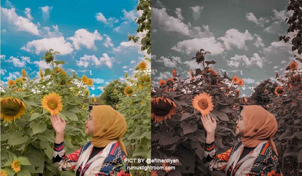 Detail Rumus Lightroom Daun Biru Nomer 13