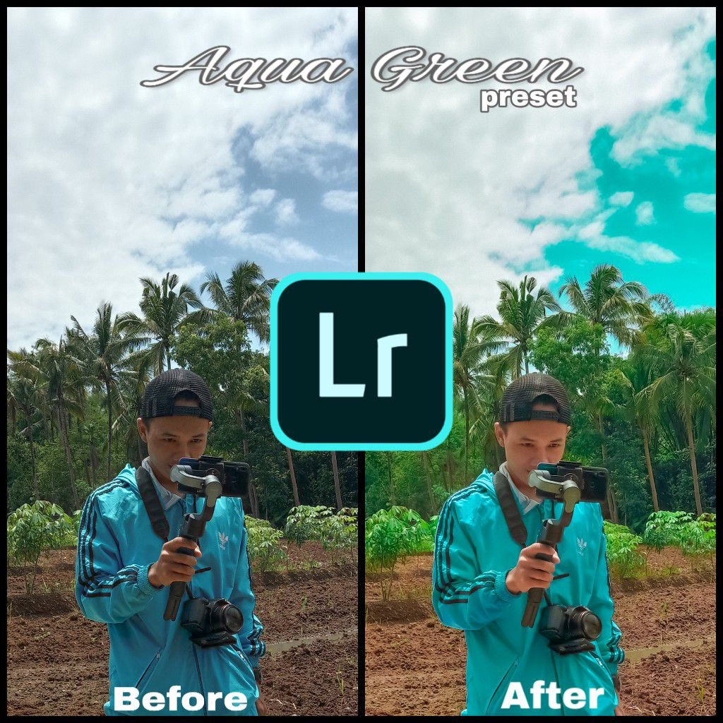 Detail Rumus Lightroom Daun Biru Nomer 28