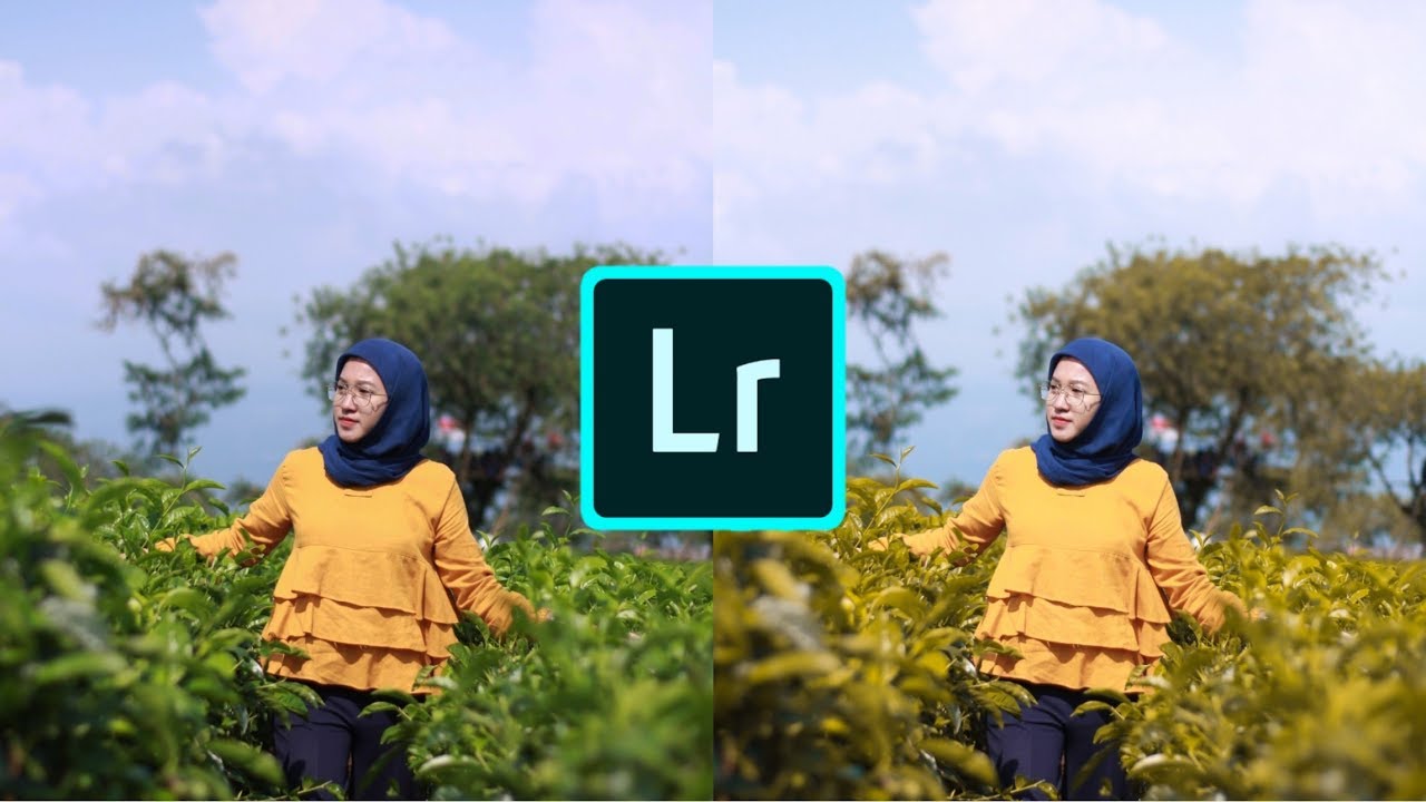 Detail Rumus Lightroom Daun Biru Nomer 42