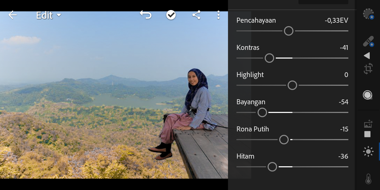 Detail Rumus Lightroom Daun Biru Nomer 47