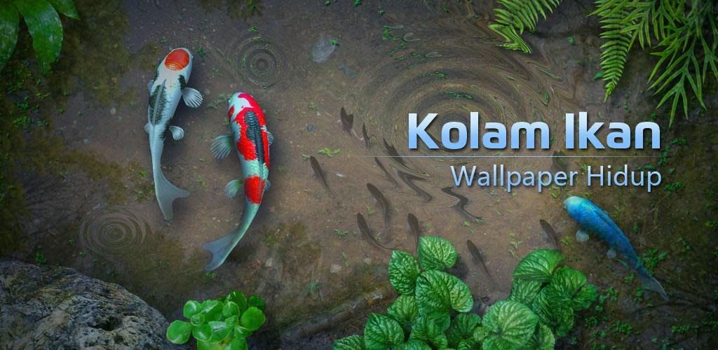 Detail Wallpaper Kolam Ikan Nomer 41