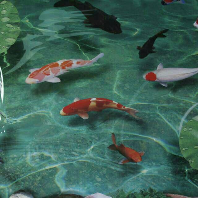 Detail Wallpaper Kolam Ikan Nomer 44