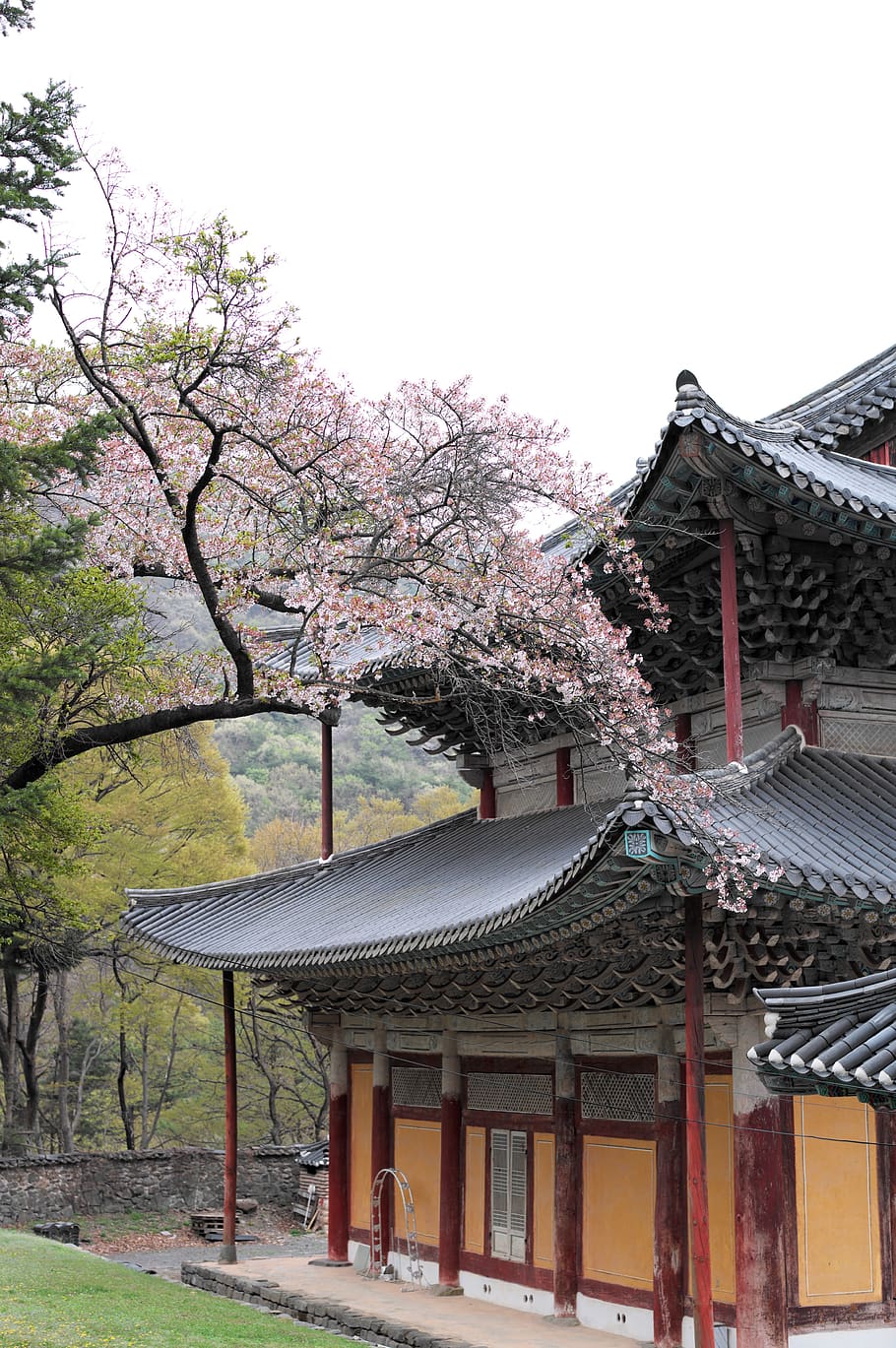 Detail Wallpaper Korea Hd Nomer 30