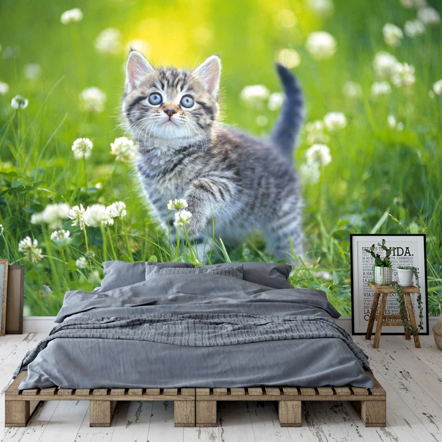 Detail Wallpaper Kucing 3d Nomer 25