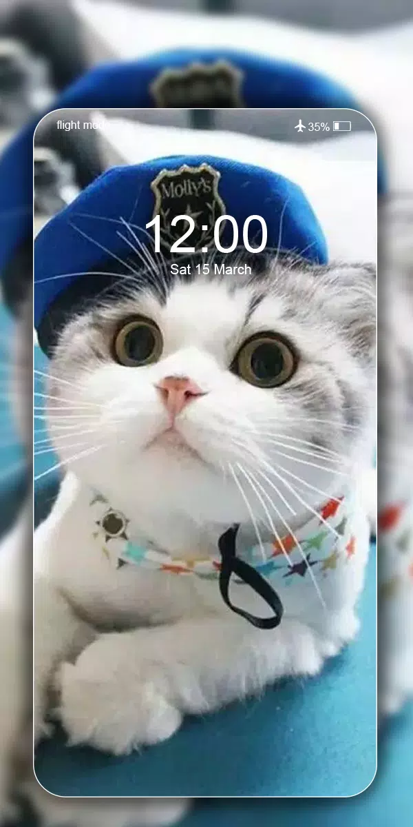 Detail Wallpaper Kucing 4k Nomer 23