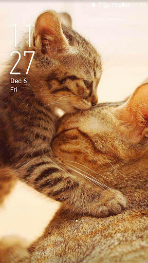 Detail Wallpaper Kucing Hd For Android Nomer 26