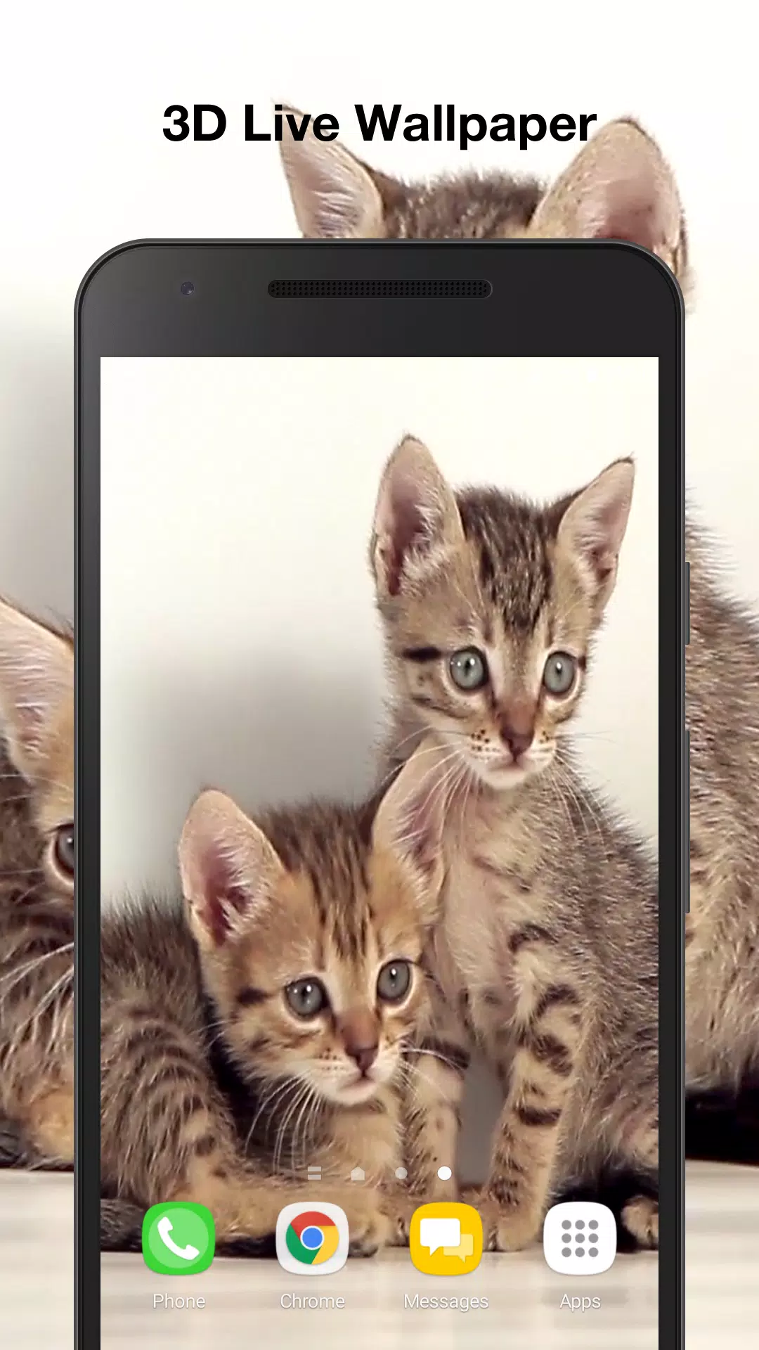 Wallpaper Kucing Hd For Android - 56+ Koleksi Gambar