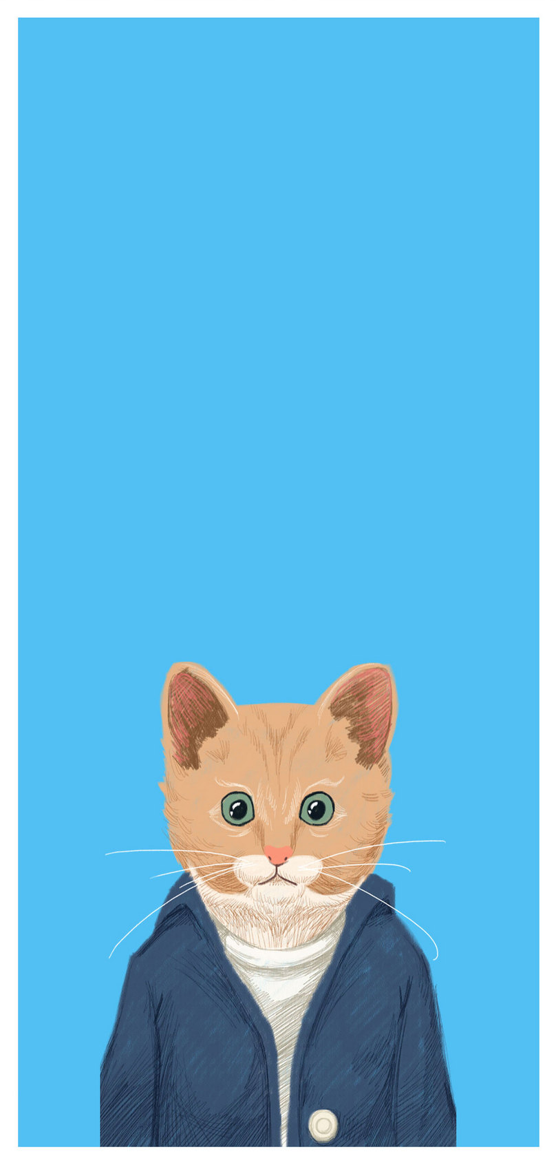 Detail Wallpaper Kucing Hd For Android Nomer 56