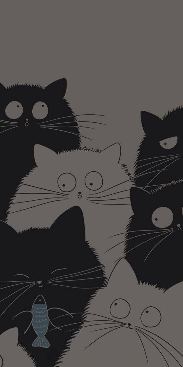 Detail Wallpaper Kucing Hitam Putih Nomer 38