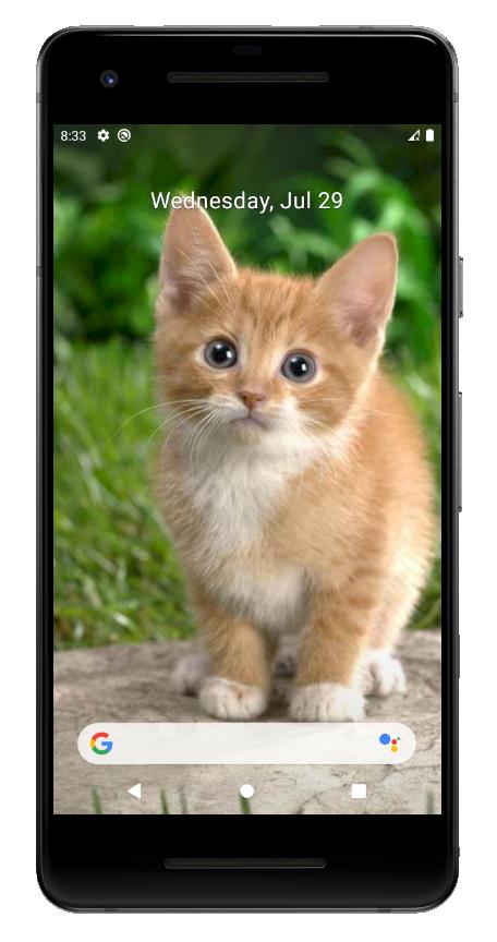 Detail Wallpaper Kucing Lucu Dan Imut Nomer 47