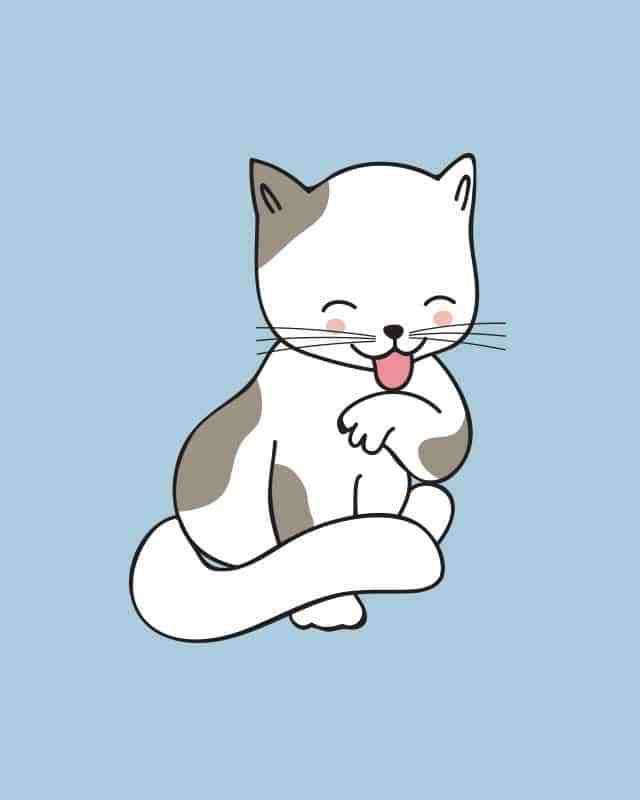 Detail Wallpaper Kucing Lucu Imut Nomer 24